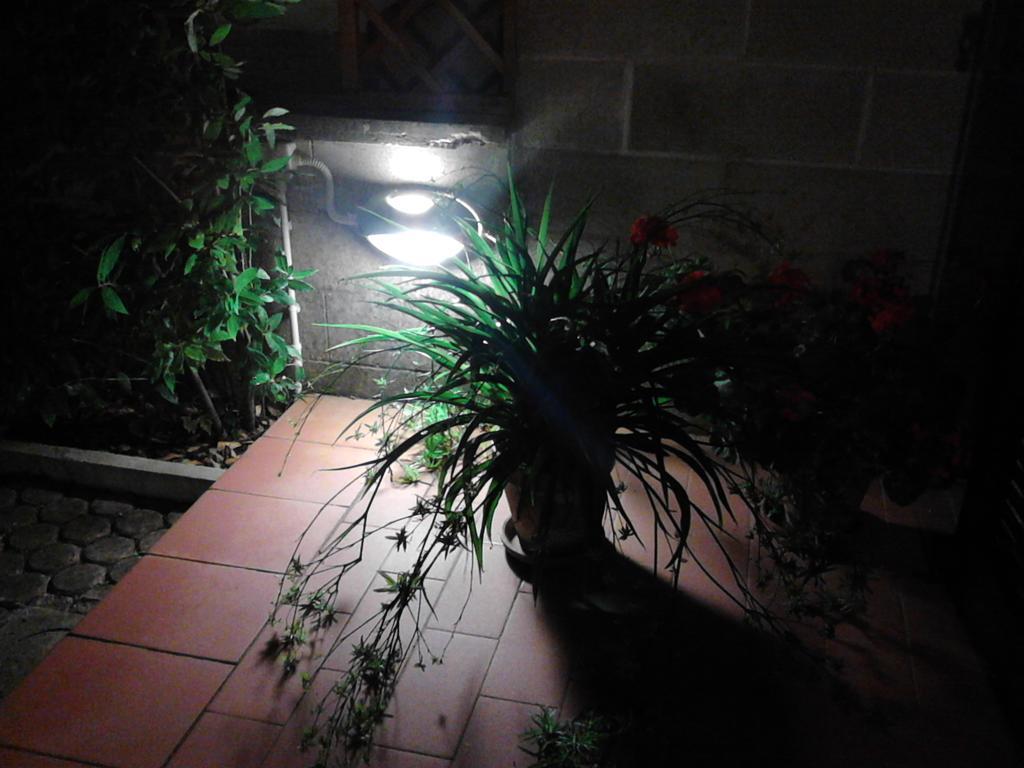 Bed And Breakfast Catherina Ponsacco Bagian luar foto