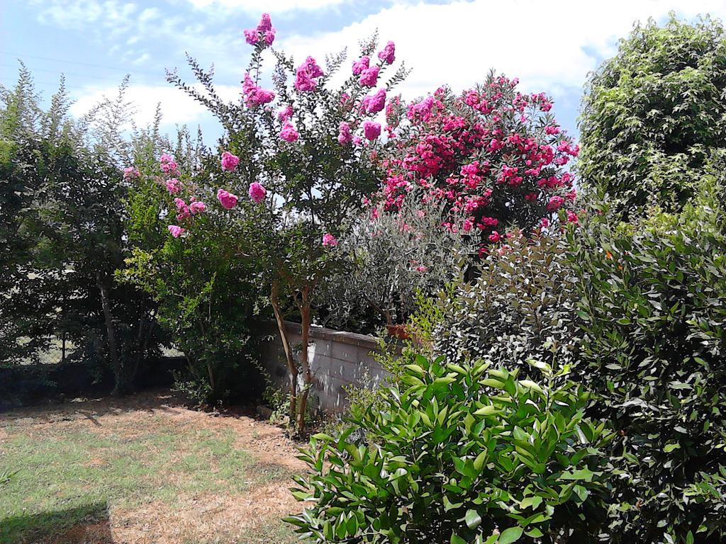 Bed And Breakfast Catherina Ponsacco Bagian luar foto